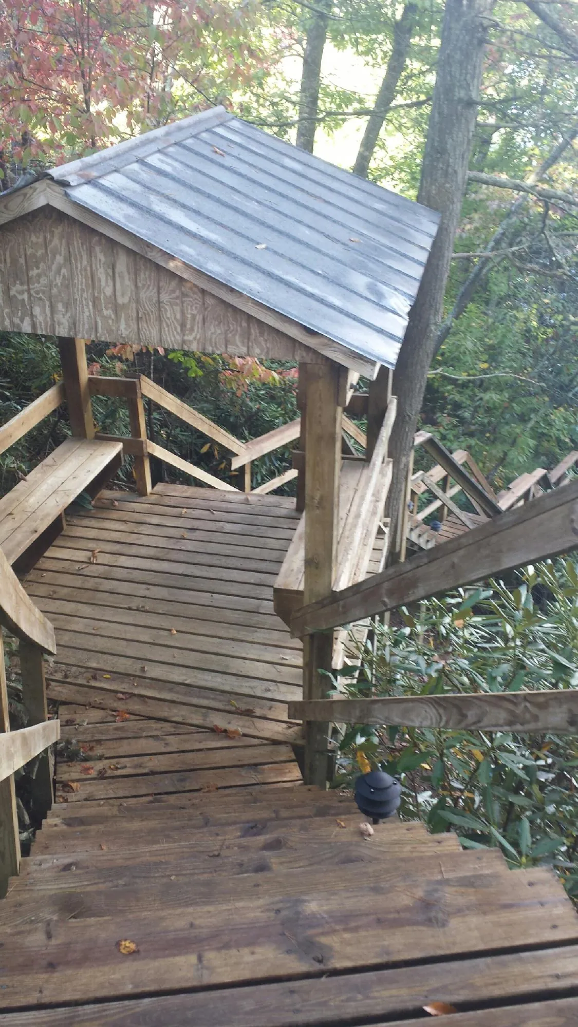 Metal roofed shelter over wooden steps on a wooded walkway — Skylight Repair & Installation work by our crew in Dola