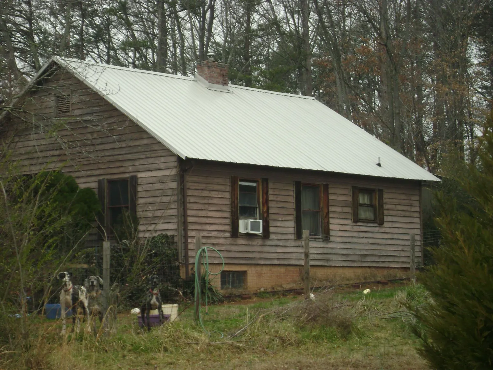 White metal roof on an old wood sided farmhouse, from a Asphalt Shingle Roof Repair job in Dola